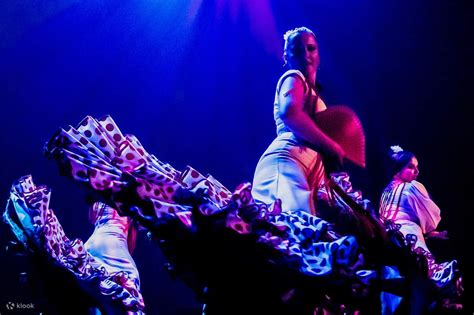 Zaira's Flamenco Frenzy! A Spectacular Show Filled with Passion and Controversy